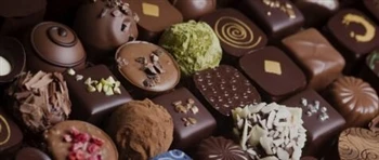 Chocolateequipment.net